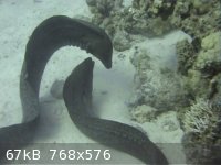 snapshot20110724075455.jpg - 67kB