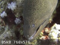snapshot20110724080318.jpg - 85kB