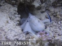 snapshot20110724080549.jpg - 78kB