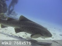 snapshot20110724080732.jpg - 49kB