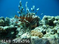 alex1611 044.jpg - 61kB