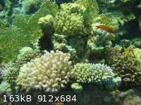1 DSC01133.JPG - 163kB