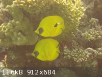 2 DSC01148.JPG - 116kB