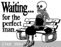 perfectman.jpg - 23kB